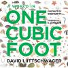 A_world_in_one_cubic_foot