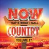 NOW_THAT_S_WHAT_I_CALL_COUNTRY_VOLUME_17__CD_